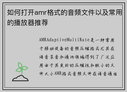如何打开amr格式的音频文件以及常用的播放器推荐 如何打开amr格式的音频文件以及常用的播放器推荐